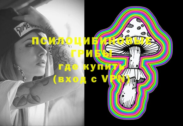 крисы Богданович