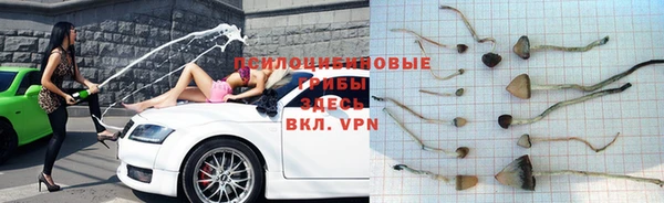 дживик Бугульма